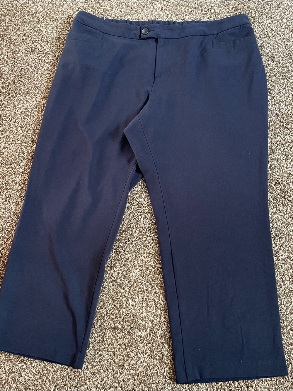 CJ Banks size 22W Petite navy blue pants